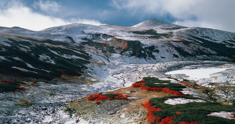 �k�C���R�x�ʐ^�̓a��