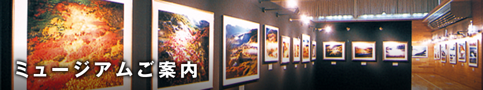 �~���[�W�A�����ē�